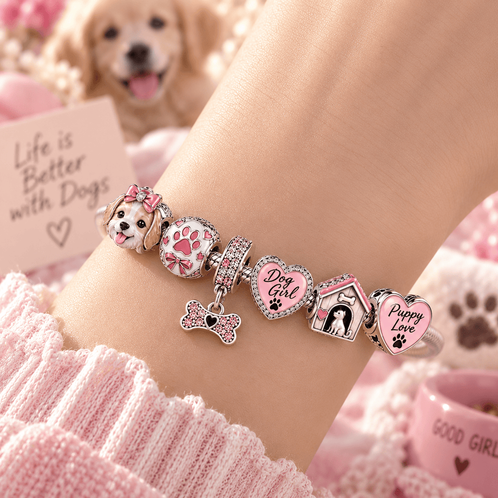 DG Silver Charm Bracelet Set TTN